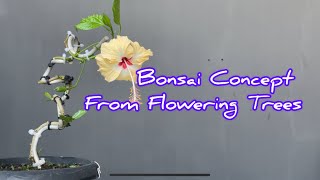 Bonsai Concept From Flowering Trees [upl. by Naashom341]