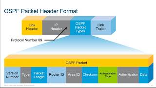 6 OSPF LSA Types [upl. by Edny]