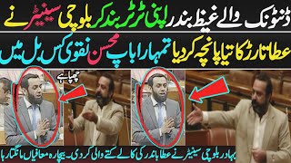 Balouchi Senator Vs Dentonic ڈنٹونک اپنی ٹر ٹر بند کر بلوچی سینیٹر نے عطا تارڑ کی چھترول کر دی ۔۔ [upl. by Nagard808]