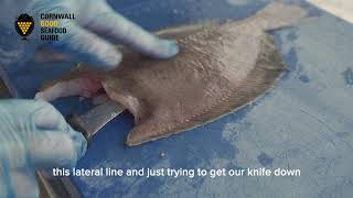 How to fillet a Megrim or Cornish Sole [upl. by Dric]