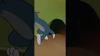 Hiran official 🥴 Tom and Jerry 👹☠️😵🤣🤥 [upl. by Pyne6]