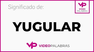 Qué significa YUGULAR  Significado de YUGULAR  Video Palabras  Diccionario [upl. by Loralyn645]