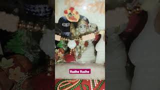 Radha dhundh Rahi kisi ne Mera Shyam dekha [upl. by Hsevahb701]