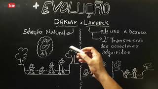 Darwin e Lamarck  EVOLUÇÃO  Resumo Completo [upl. by Nillad586]