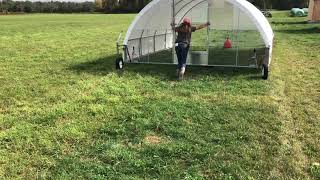 How easy is it to Move a Cackellac 1312 chicken tractor at Hutchings Farm [upl. by Buffo705]