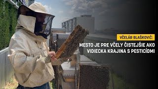 Včelár Blaškovič Mesto je pre včely čistejšie ako vidiecka krajina s pesticídmi [upl. by Enileoj]