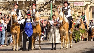 🏇 Haflinger Galopprennen in Meran 2019  Festumzug [upl. by Animsay]