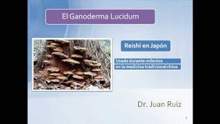 Ganoderma Lucidum  Dr Ruiz [upl. by Ynittirb]