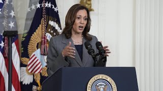 ‘Failed’ Kamala Harris has thrown herself ‘under the bus’ [upl. by Brawley]