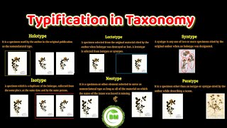 Typification in taxonomy  holotype Isotype Lectotype syntype neotype paratype  taxonomy [upl. by Frodine]