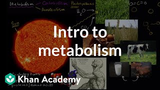 Introduction to metabolism anabolism and catabolism  Khan Academy [upl. by Irakuy]