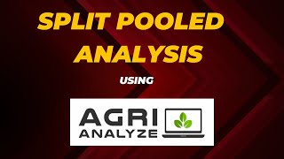 Split Plot Pooled Analysis [upl. by Ahsilef58]