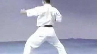 Karate Kyokushin  Pinan sono go [upl. by Olzsal]