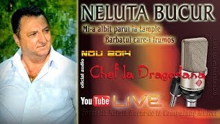 NELUTA BUCUR  Mia albit parul la tample  Barbatul carei frumos live audio [upl. by Papert733]