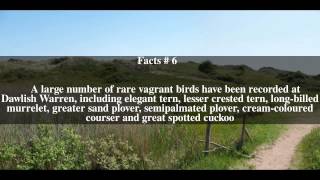 Dawlish Warren National Nature Reserve Top  11 Facts [upl. by Worsham]