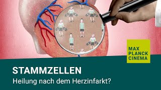 Stammzellen  Heilung nach dem Herzinfarkt [upl. by Shedd]