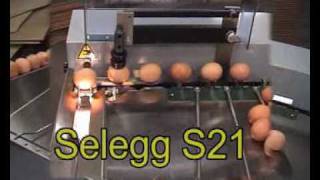 Egg coding EggFlex HeDiPack on a Riva Selegg S21 grader [upl. by Rolyat]