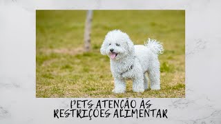 PETS Atenção às restrições alimentares [upl. by Larine136]