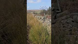 Darwen Moor travel punkatit lancashire darwen darwenmoor nature moor [upl. by Iralav]