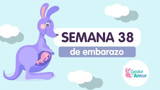 Semana 38 de embarazo [upl. by Lammond]