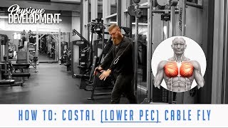 How to Cable Fly for Lower Chest High to Low [upl. by Esialb]