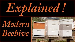 Most Versatile Beehive  Langstroth [upl. by Eivol]