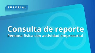 Consulta de reporte  Persona física con actividad empresarial [upl. by Dunseath]