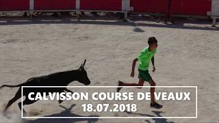 CALVISSON COURSE DE VEAUX ET DOUBLINQUE 18072018 [upl. by Perrie]