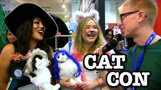 Joe Goes To CatCon [upl. by Eelarak]