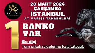 20 Mart 2024 Çarşamba İstanbul At Yarışı Tahminleri [upl. by Rab]