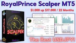 RoyalPrince Scalper MT5 Backtesting 2024  FX STORE EA [upl. by Belding195]