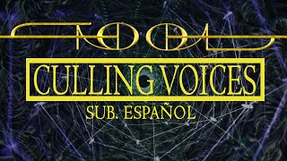 TOOL  CULLING VOICES SUB ESPAÑOL [upl. by Ormond]