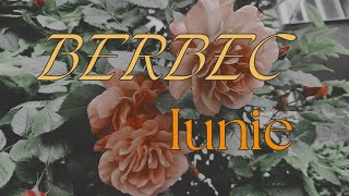 BERBEC ♈  schimbări majore aduse chiar prin propria voință🙏 [upl. by Sluiter349]