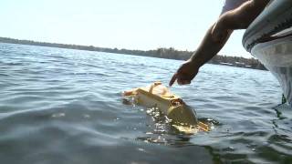 RCTV Thunder Tiger Neptune SB1 Submarine with GoPro camera [upl. by Siva]