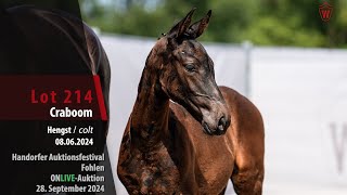 Auktionsfestival Lot 214 Craboom Hengst v Cornet Obolensky  Casall [upl. by Nelluc]