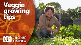 How to maximise your vegetable gardens produce yearround 🍅🍆🥒🥕  Gardening 101  Gardening Australia [upl. by Shana]