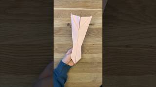 Papierflieger basteln Einfach paperplane tutorial [upl. by Akeem]