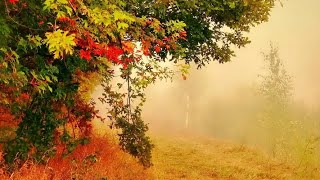 Autumn Leaves by Nat King Cole English Version Karaoke [upl. by Giles]