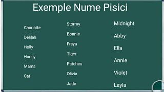 Nume de Pisici exemple Nume de Motani  nume de animale invata nume de pisici [upl. by Forbes]