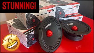 WOW DS18 ProGm 65” door speaker review midbass midrange [upl. by Gnol]