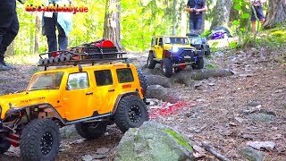 RC Crawler Scaler Action Skogstrail Lida Sweden part 6 [upl. by Teerpnam]