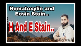 H amp E Stain  Hematoxyline And Eosin Stain  HampE stain Live Class [upl. by Yniar259]