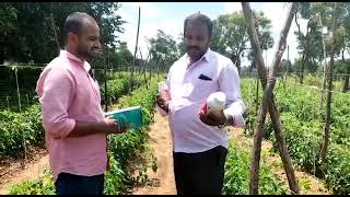 Valagro Megafol and Used farmer sharing his experience with Valagro Solutions [upl. by Ainud631]