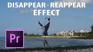 Premiere Pro Disappear  Reappear Effect [upl. by Hannaj]