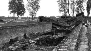 BIRKENAU  POLEN 2013 [upl. by Eojyllib]