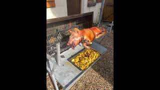 Cochon de lait à la broche lmchefadomicile l’auvergnassou Bassignac Le Bas [upl. by Nnyleahs]