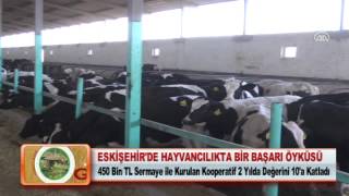 Eskişehirde hayvancılıkta bir başarı öyküsü [upl. by Eisor]