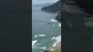 Soaring high at Stanwell Tops paragliding australia shorts aussiewingwalker [upl. by Clarance]