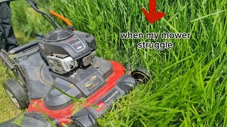 Overgrown Yard Mowed Using A 30 Inch Mower Not A Ride On satisfyingvideo overgrownyard [upl. by Atnauqal370]