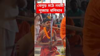 বেলুড় মঠে নবমী পূজায় বলিদান  Belur Math Durga Puja  Navami Puja [upl. by Auhsuoj]